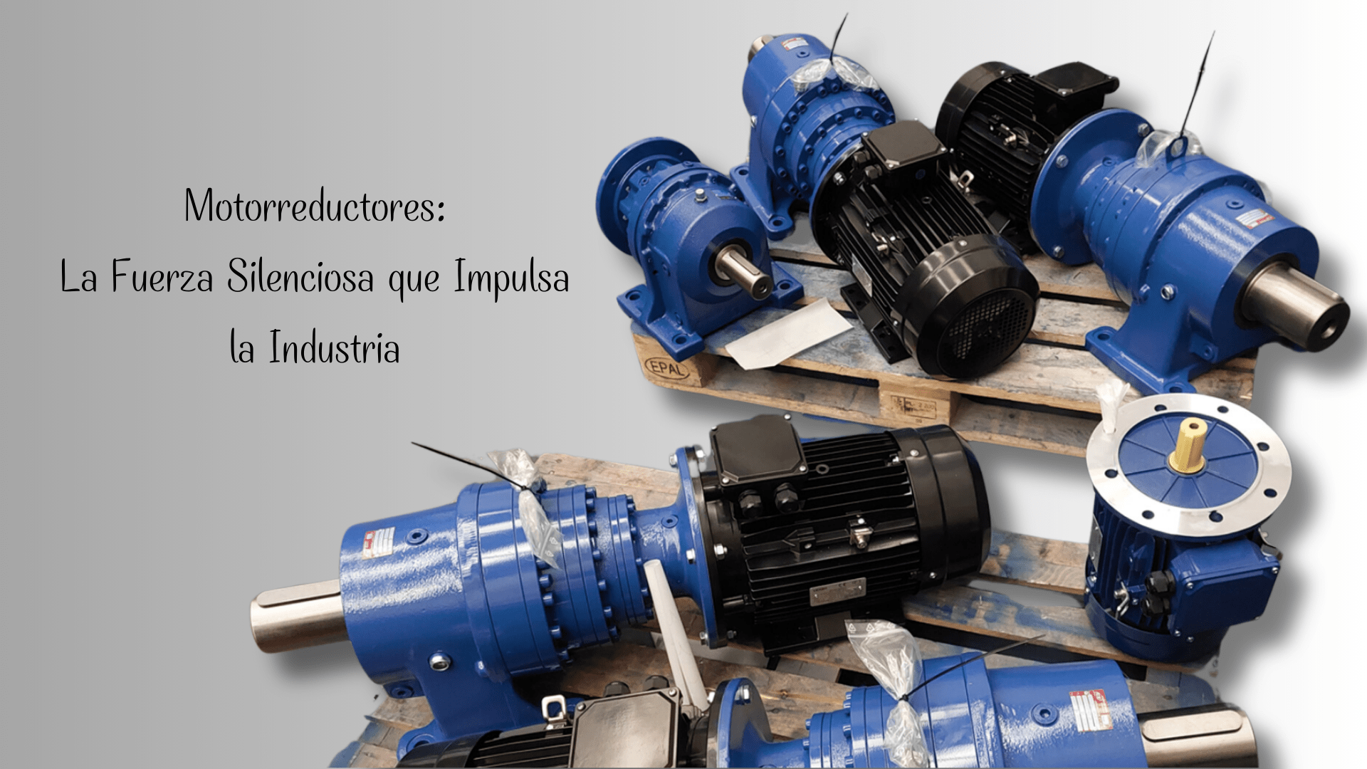 Motorreductores La Fuerza Silenciosa que Impulsa la Industria Motorreductores La Fuerza Silenciosa que Impulsa la Industria